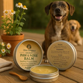 Sacred Paw and Nose Balm for dogs by Zemi Naturals